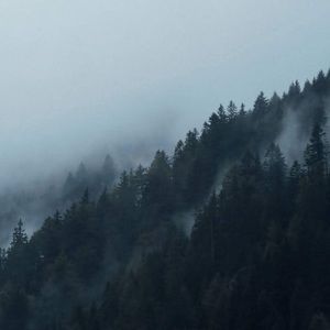 Meet your Posher, Selah